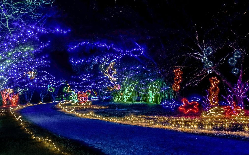 Christmas Lights In Coastal Virginia Cova Collective Realty